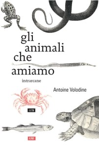 volodine_animali_piatto_Sssss (1)