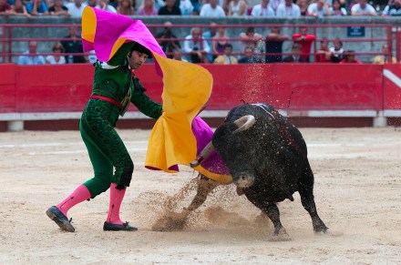 torero