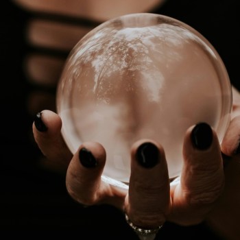 malefica nicole trevisan