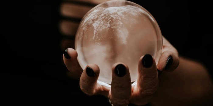 malefica nicole trevisan