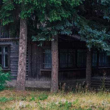 casa nella foresta