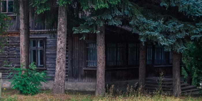 casa nella foresta